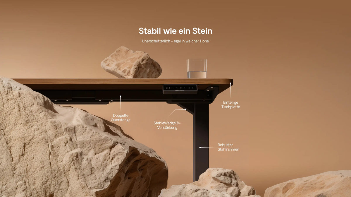 Elektrisch H henverstellbarer Schreibtisch HomePro Desktronic Elektrisch H henverstellbarer Schreibtisch HomePro Desktronic