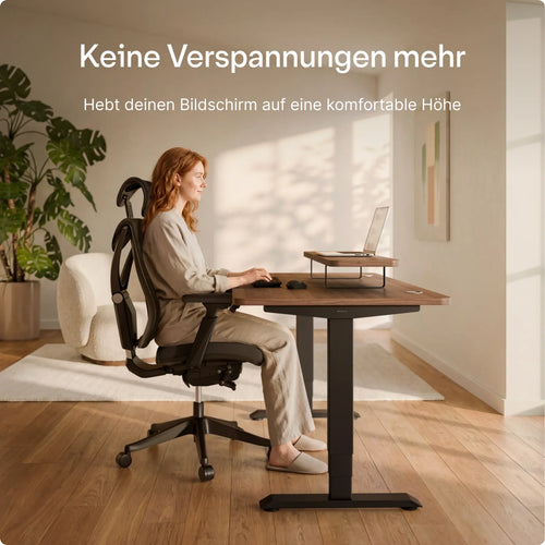 Monitorständer